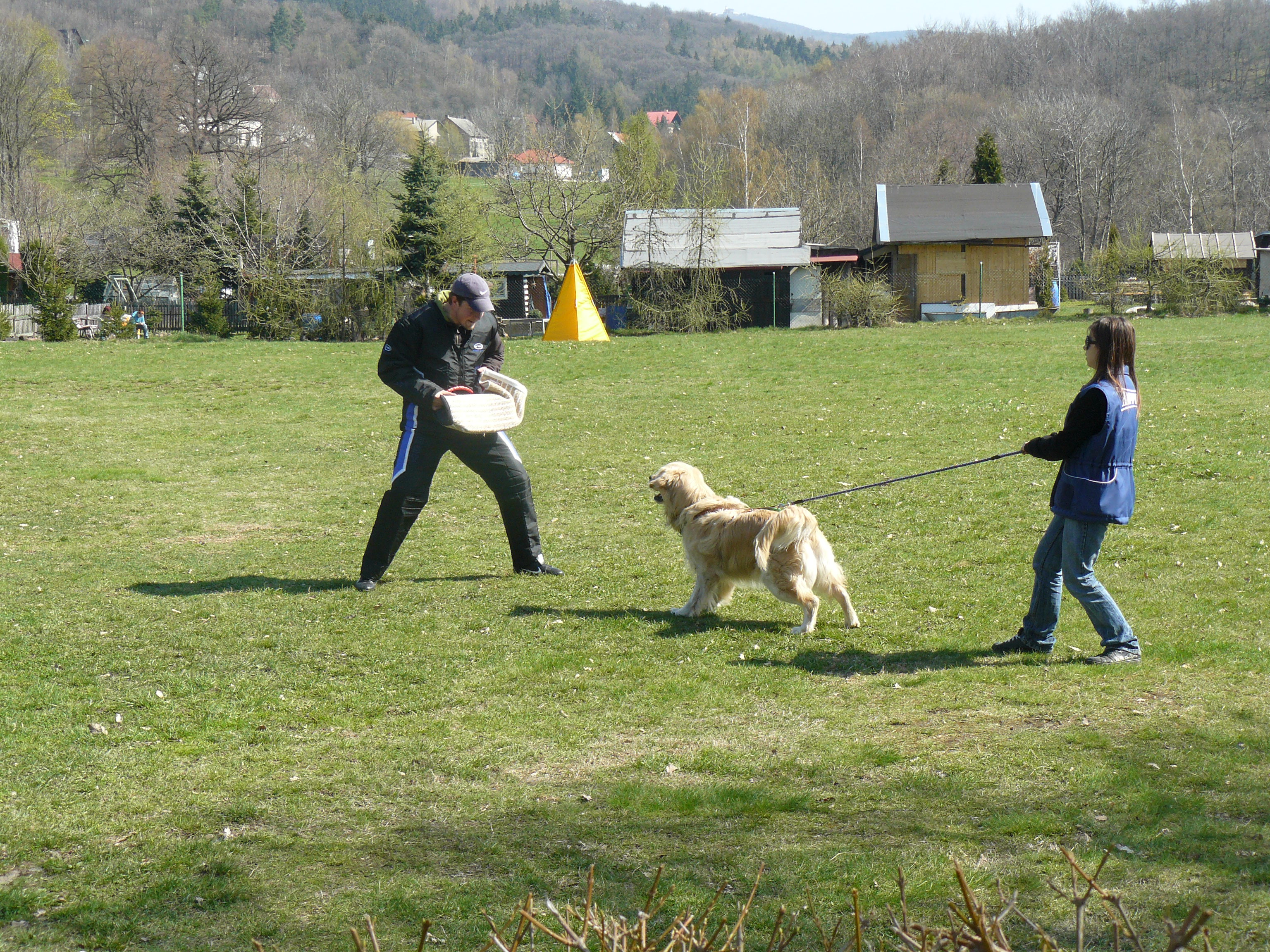P1030086.JPG