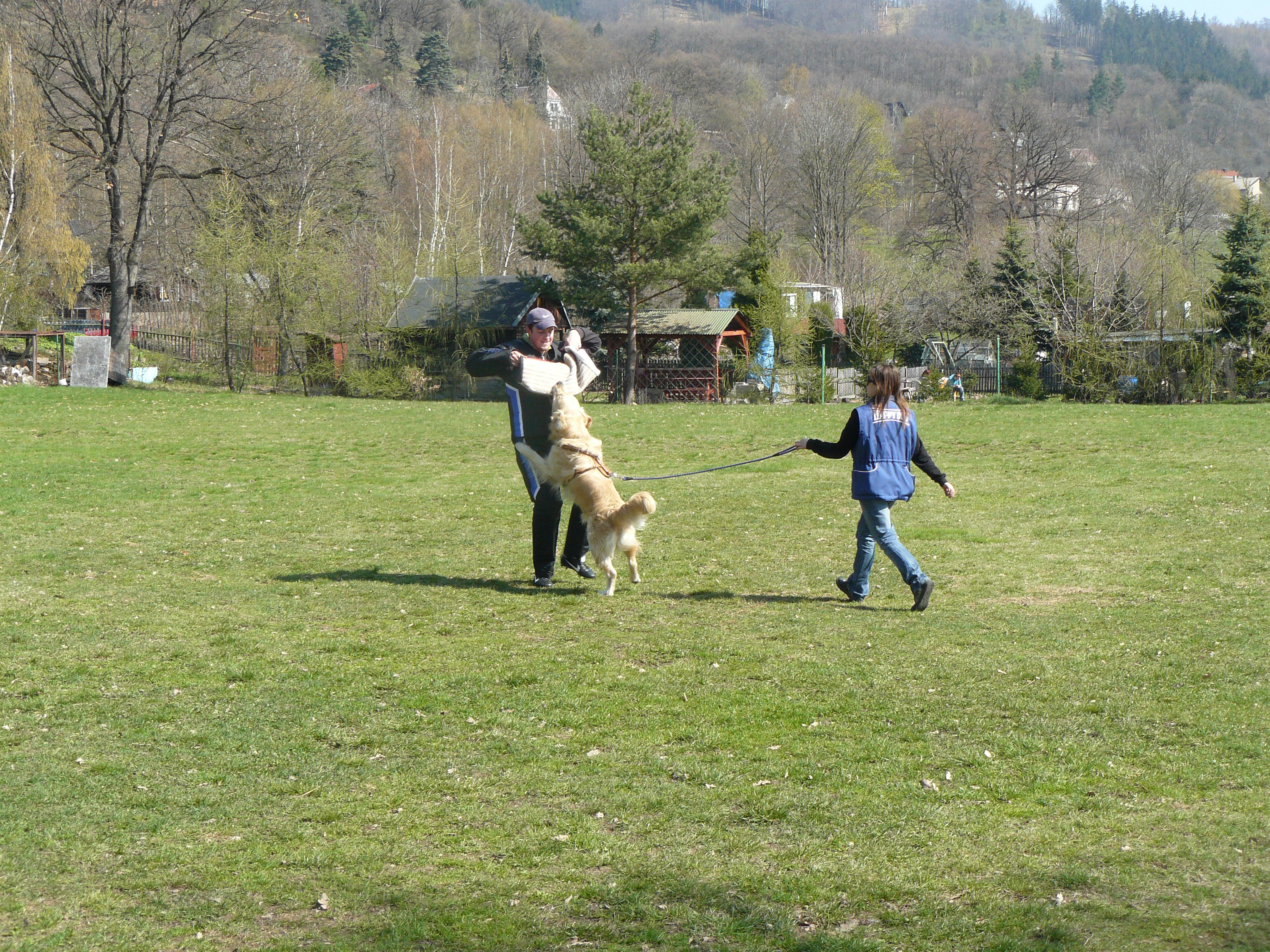 P1030088.JPG
